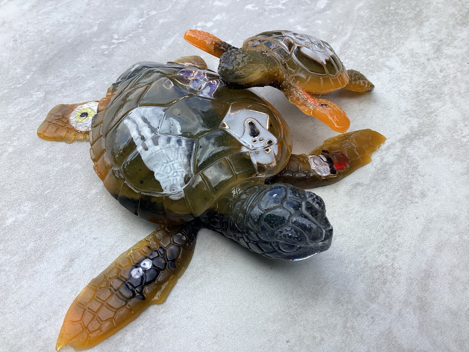 Halloween Turtles With Coaster Decor