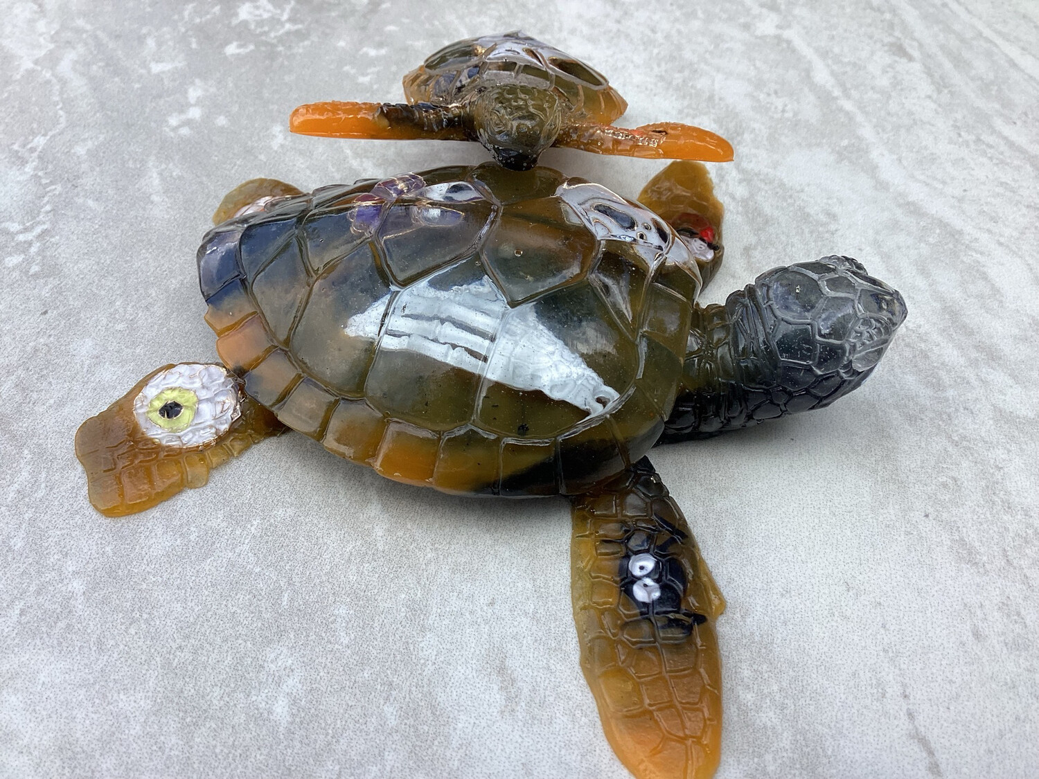 Halloween Turtles With Coaster Decor