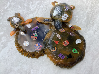 Halloween Turtles With Coaster Decor