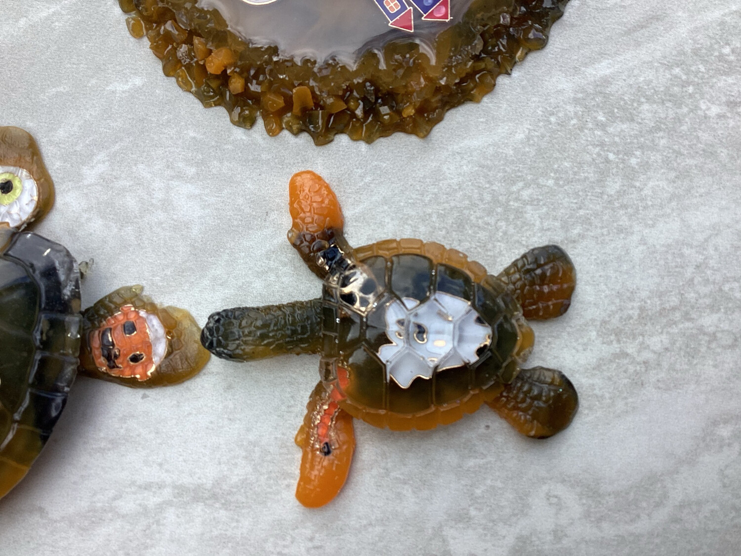 Halloween Turtles With Coaster Decor