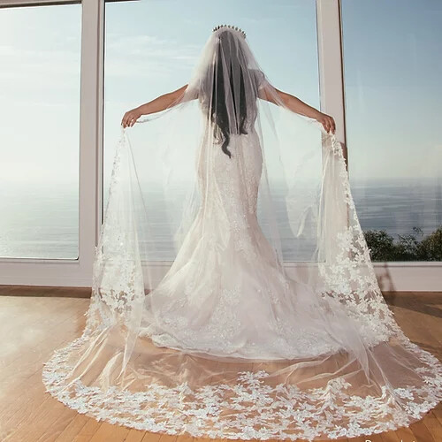 Two-Tone Lace Veil