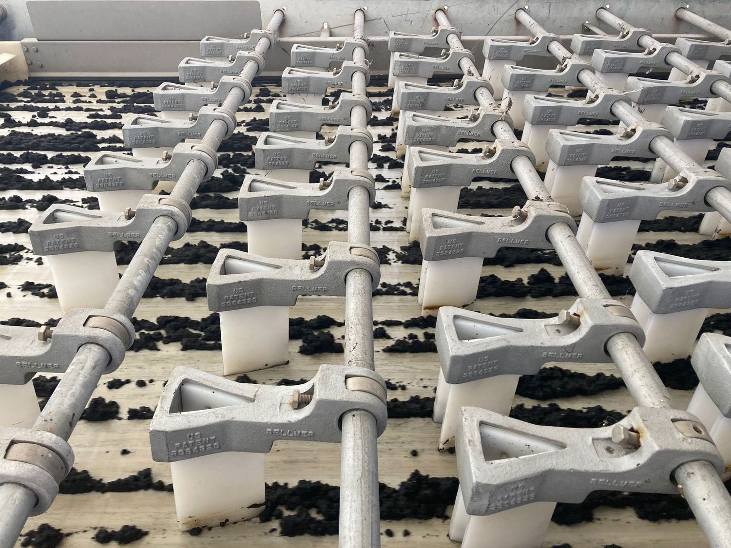 Basic Wastewater - The Colony - $299
