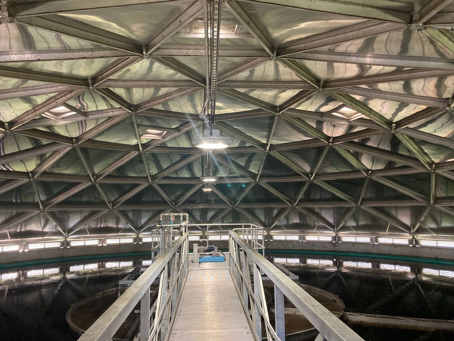 Activated Sludge - Sherman - $299