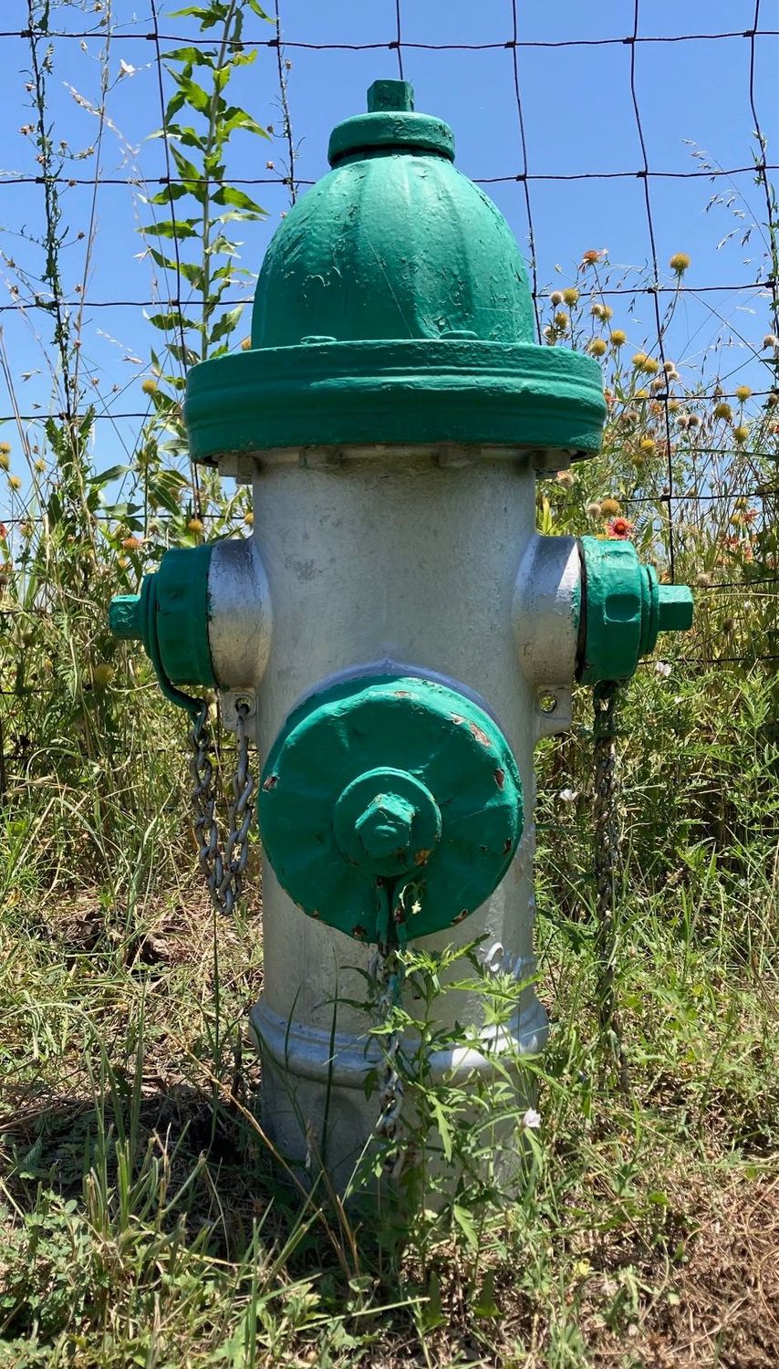 Valve and Hydrant - Greenville - $299