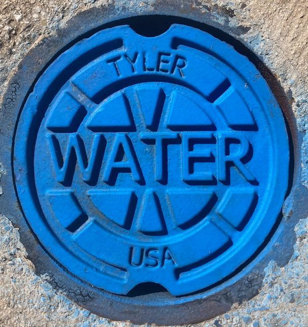 Basic Water and Resiliency Overview - Terrell - $350 Basic Water and Resiliency Overview - Terrell - $350