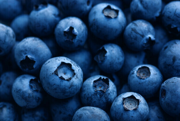 Blueberry