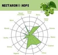 NZ Nectaron 2025 Harvest 140g