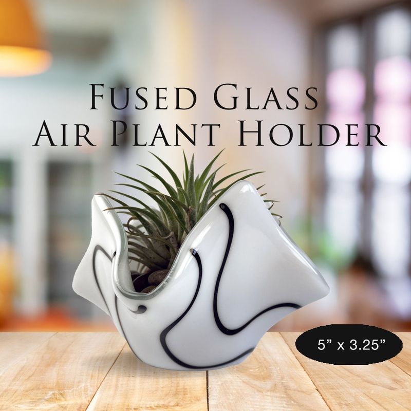Fused Glass Air Plant Holder: White with Black Graphic Lines