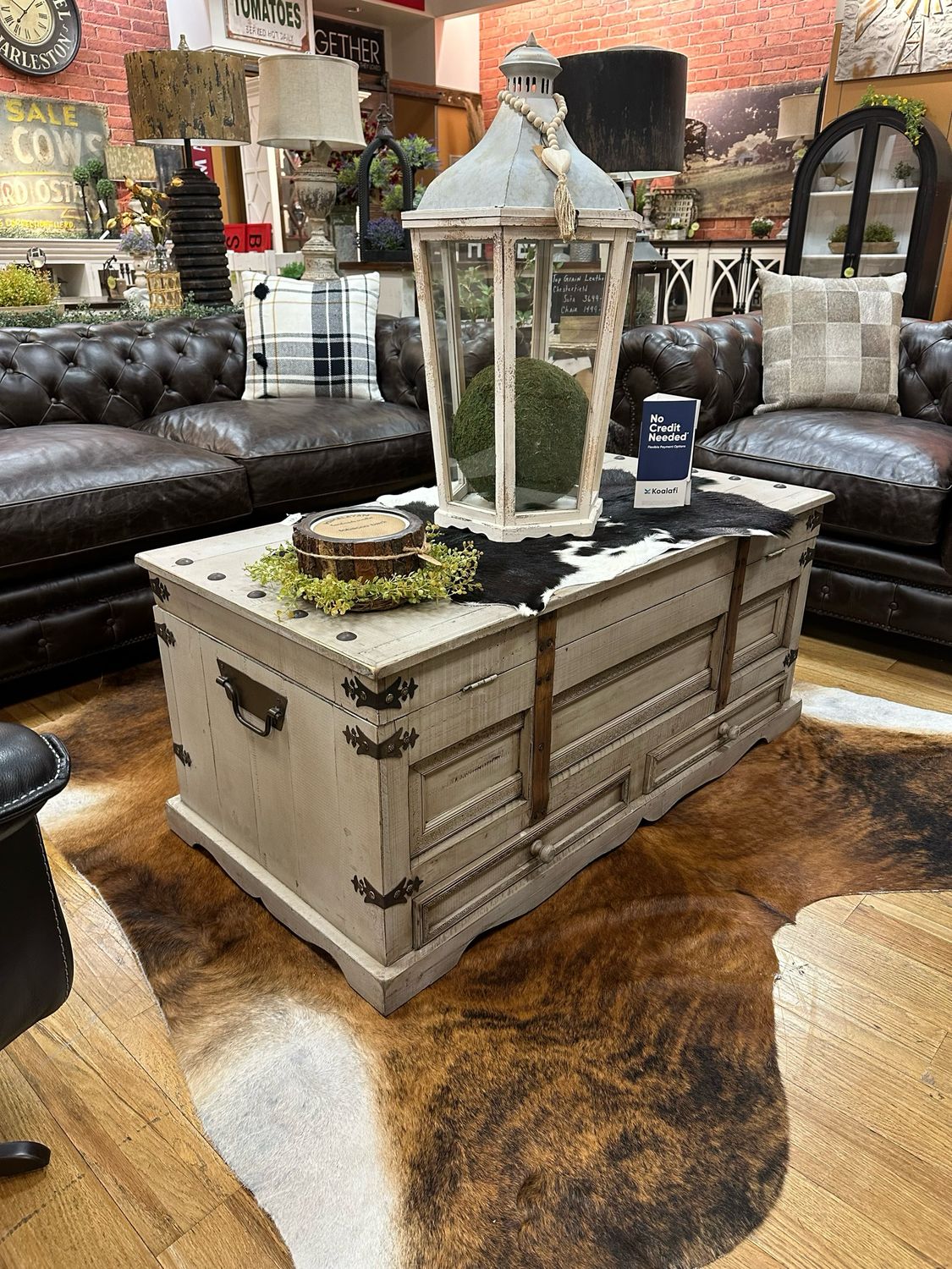 Grey Trunk Coffee Table
