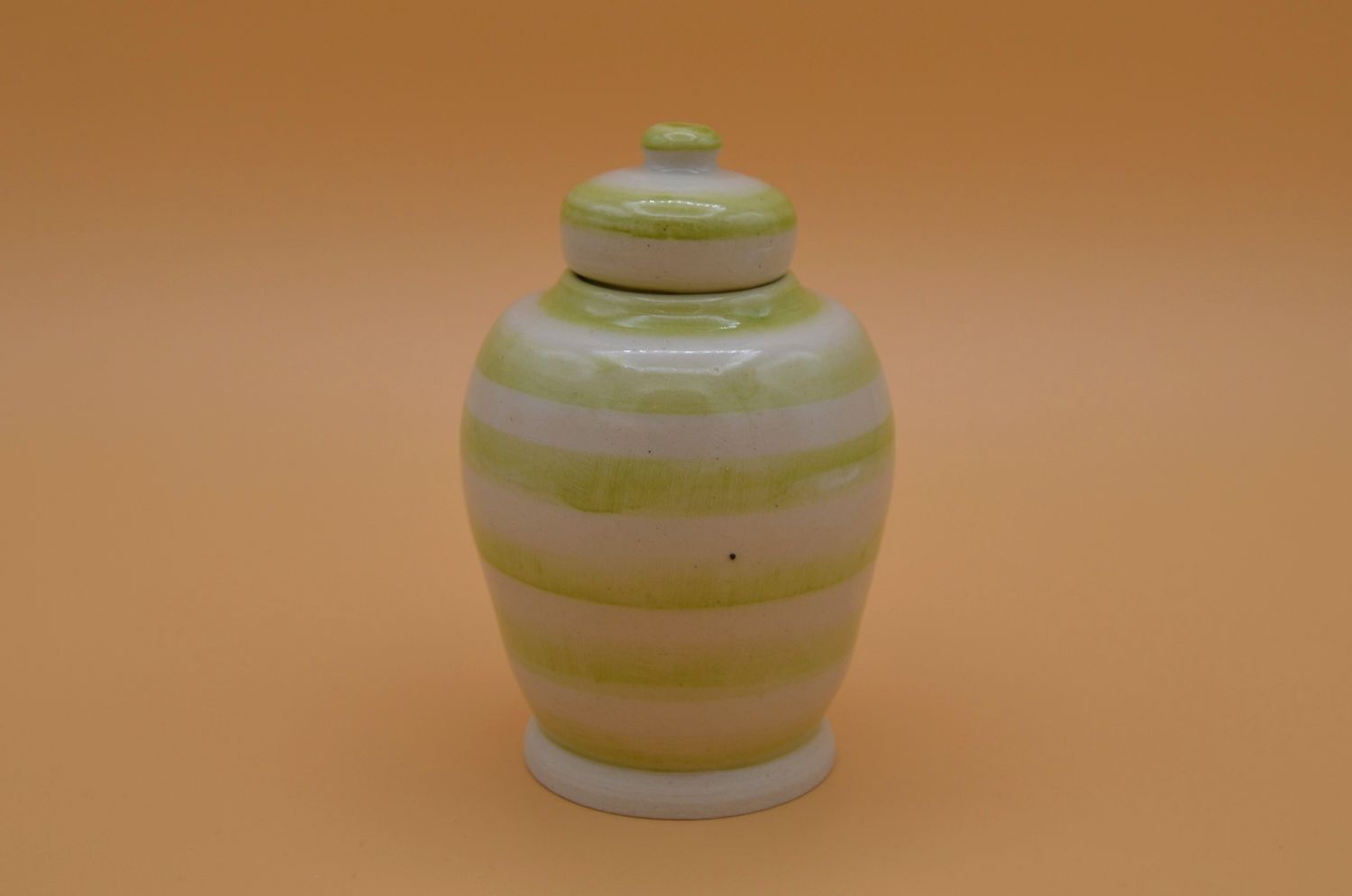 Green Striped Jar/ Pet Urn