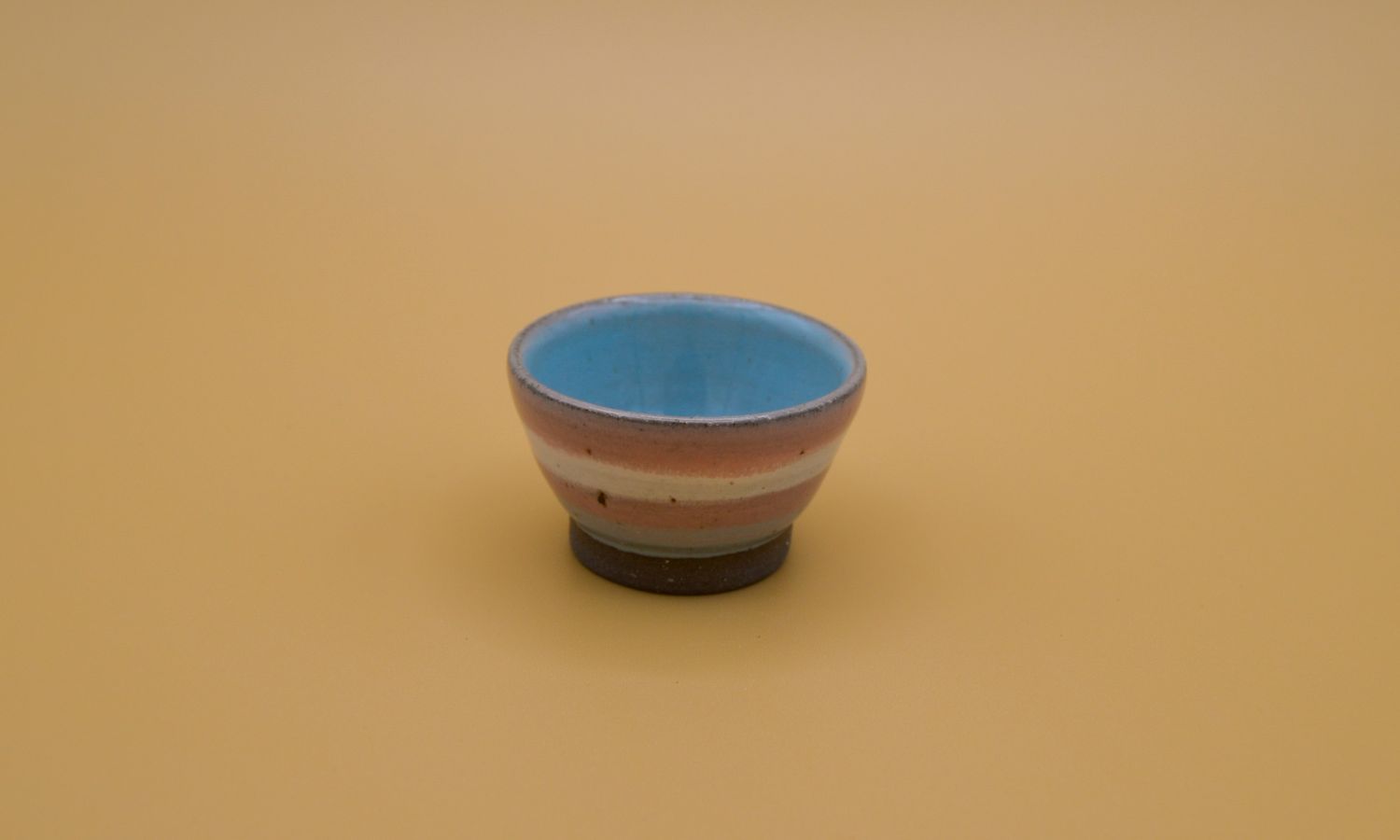 Trans Pride Mini Dish