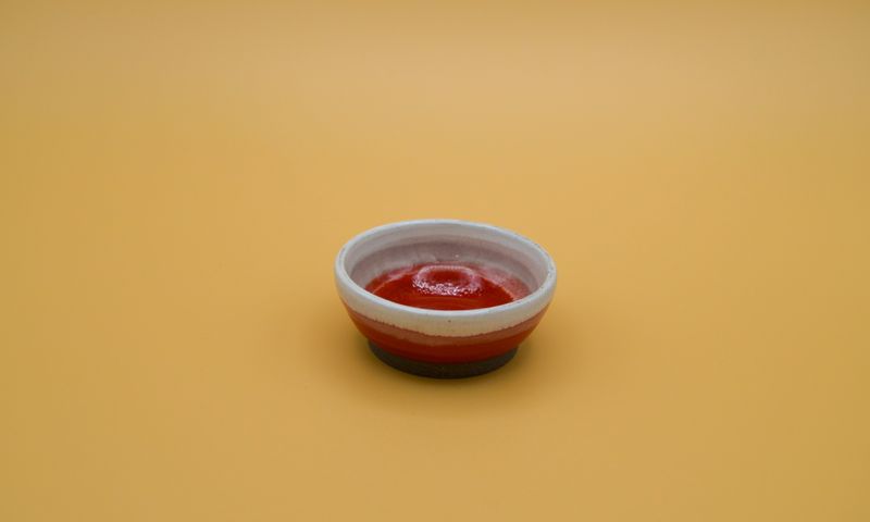 Lesbian Pride Mini Dish