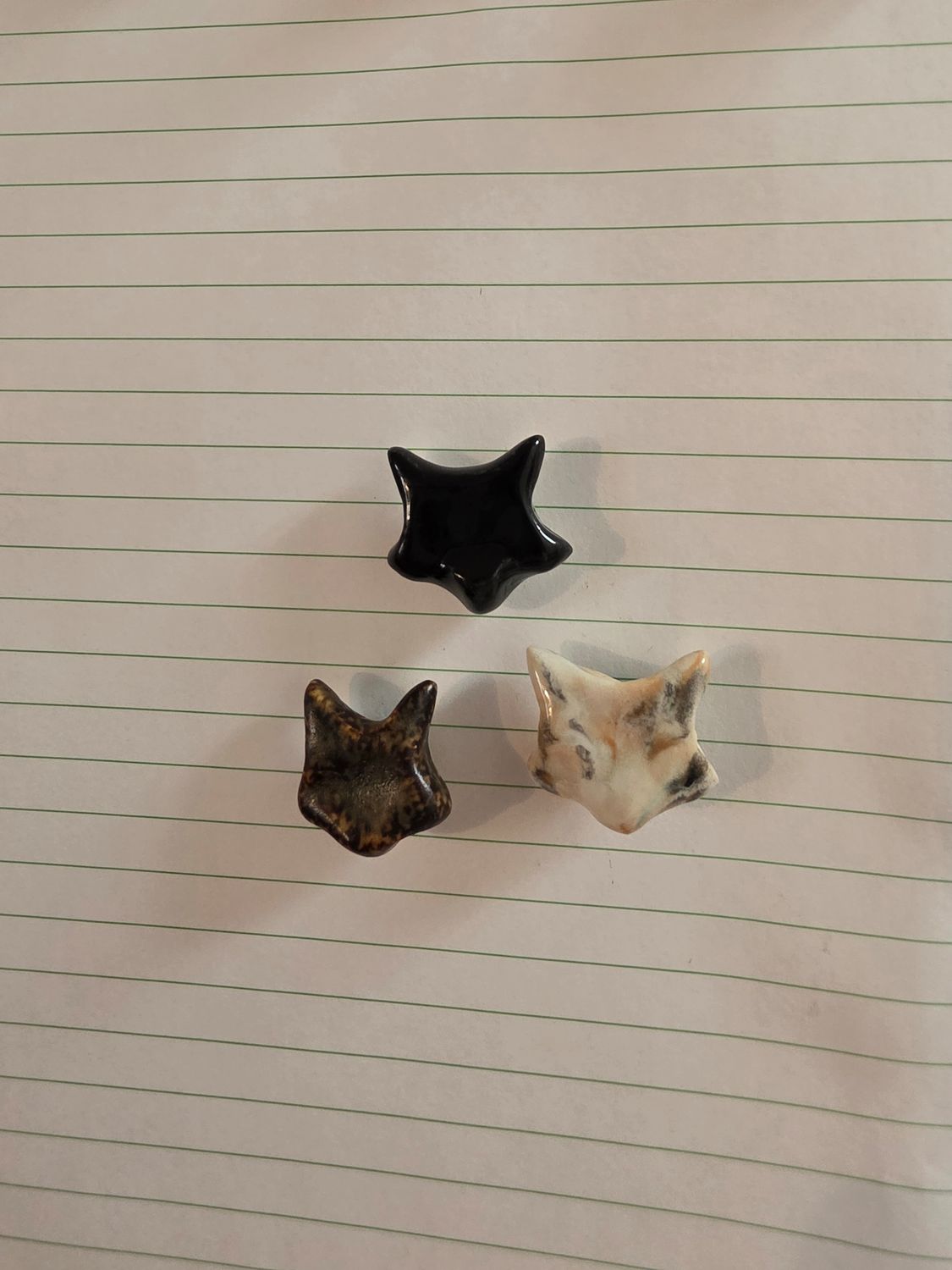 Set of Cat Magnets