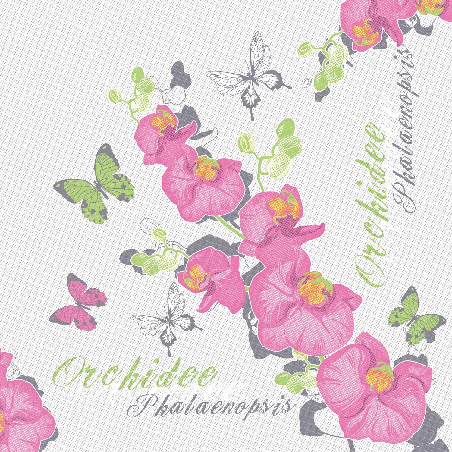 Orchidee, Varianten: Orchidee Pink
