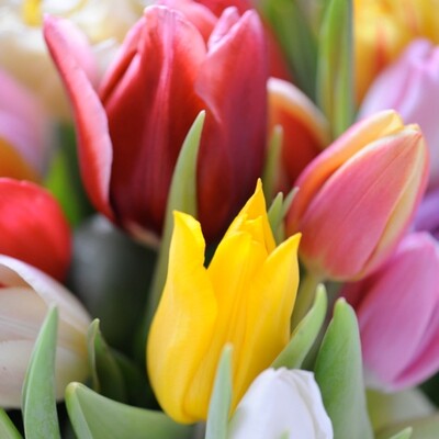 33er Serviette Bouquet