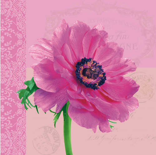 33er Serviette Anemone pink