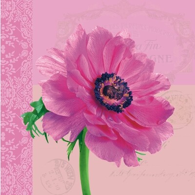 33er Serviette Anemone pink