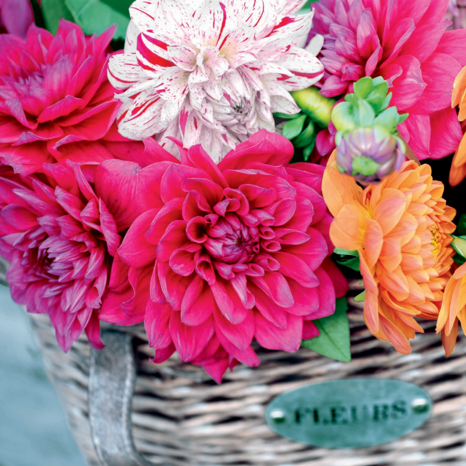 33er Serviette Dahlia Basket