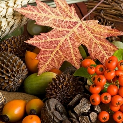 33er Servietten Autumn