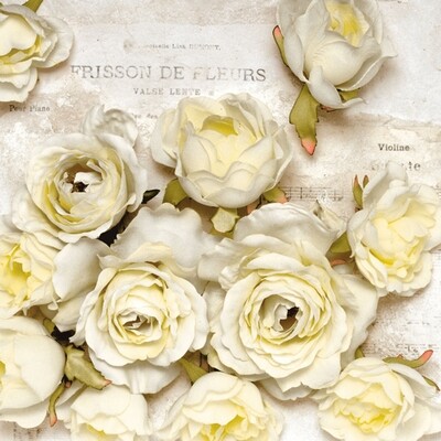 33er Serviette Frisson de Fleurs