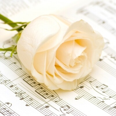 33er Servietten Classic Rose