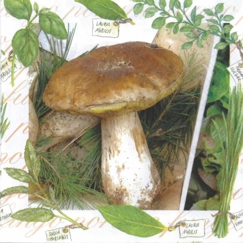 33er Servietten Funghi