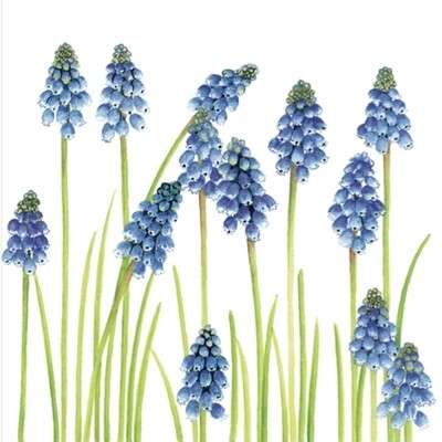33er Servietten Muscari cream