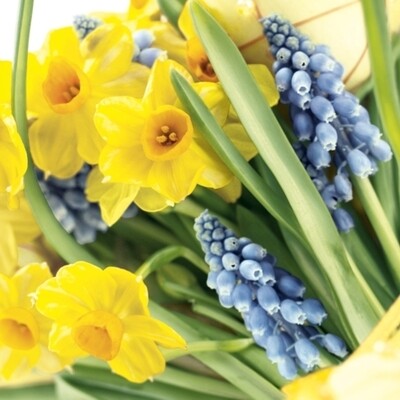 33er Servietten Spring Time