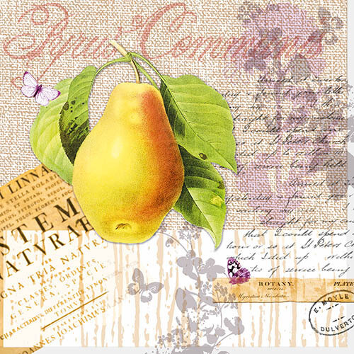 33er Serviette  Botany Pear