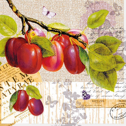 33er Serviette  Botany Plum