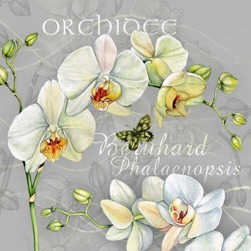 33er Serviette Orchidée