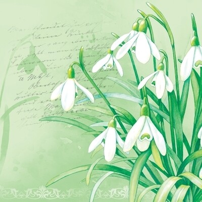 33er Serviette Snowdrop green, Qualität / Kartoninhalt: Snowdrop green