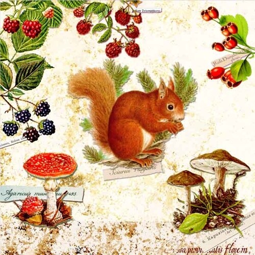 33er Serviette Squirrel