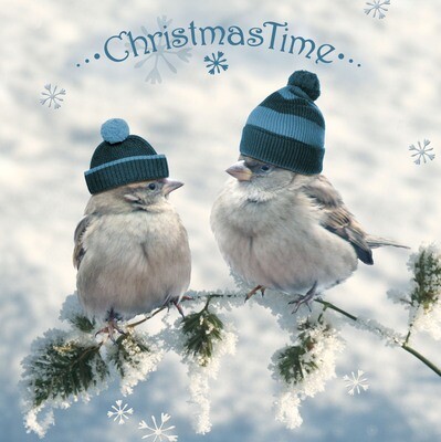 33er Serviette Birdie&#39;s Greetings