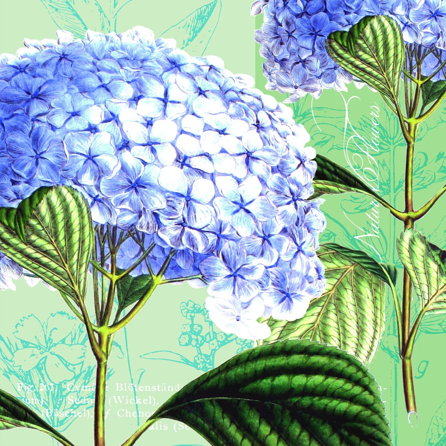 33er Serviette Hydrangea