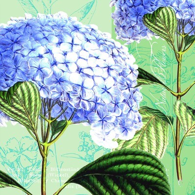 33er Serviette Hydrangea