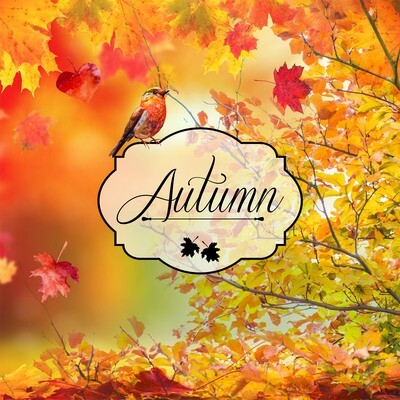 33er Servietten Autumn Foliage