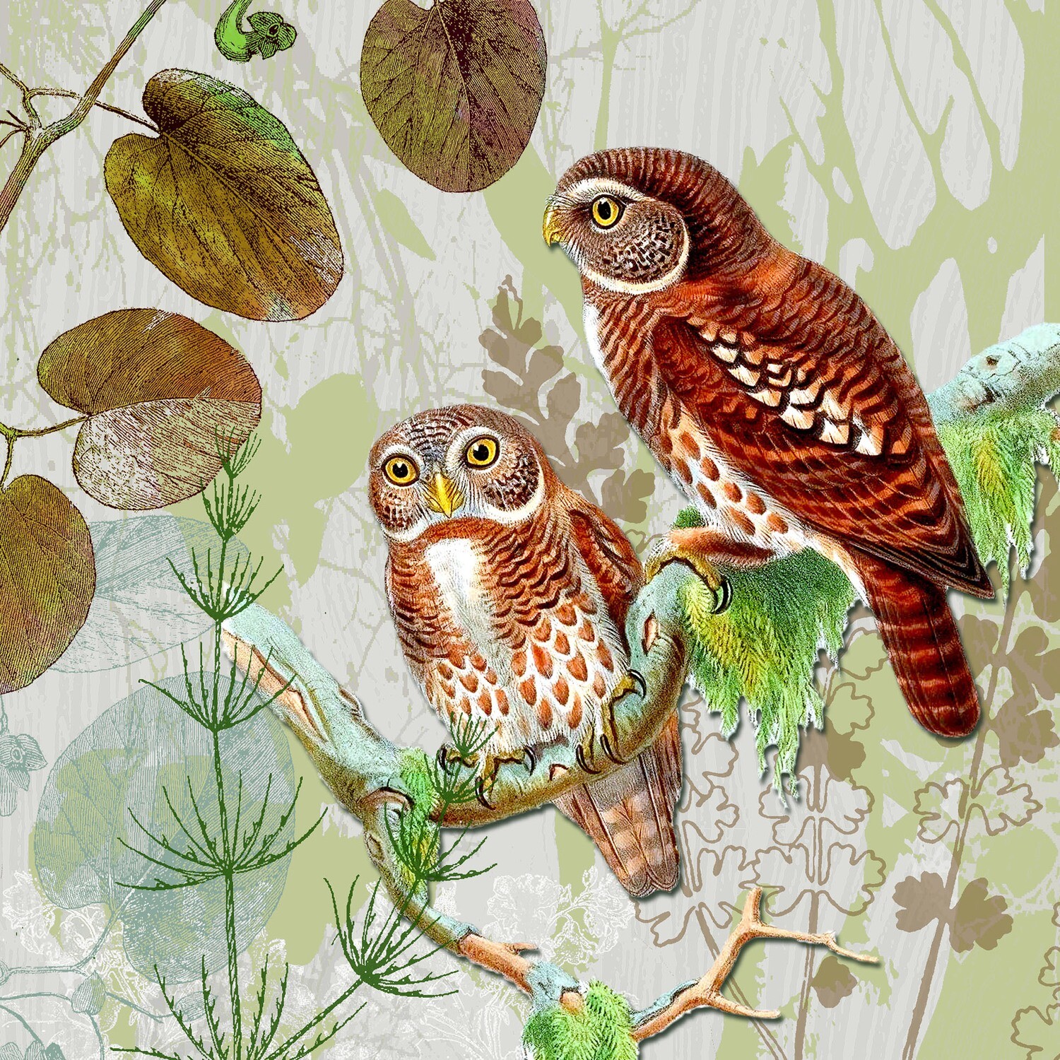 33er Servietten Pair of Owls