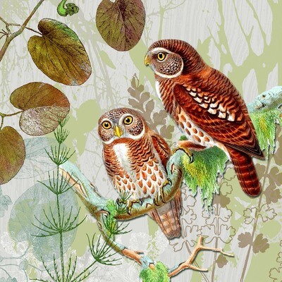 33er Servietten Pair of Owls