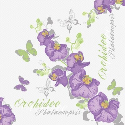Orchidee