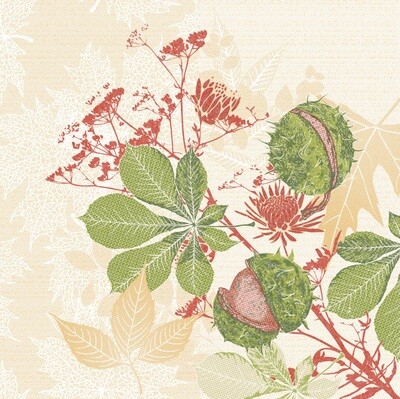 Autumn Leaves