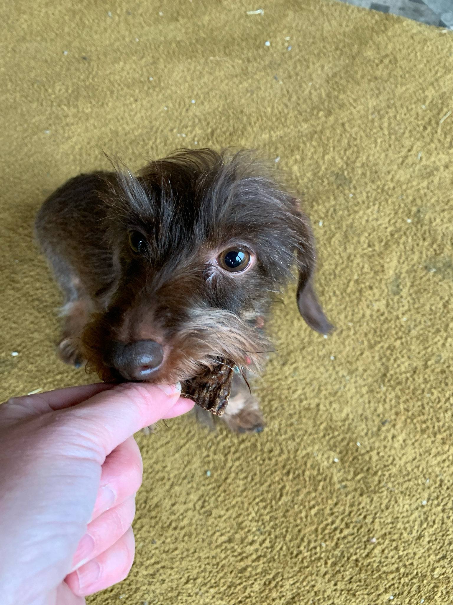 Beef Jerky - 200 of 500 gram