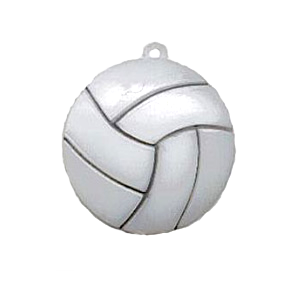 113- Half Dome Volleyball
