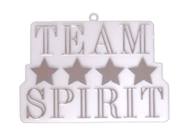 25- Team Spirit