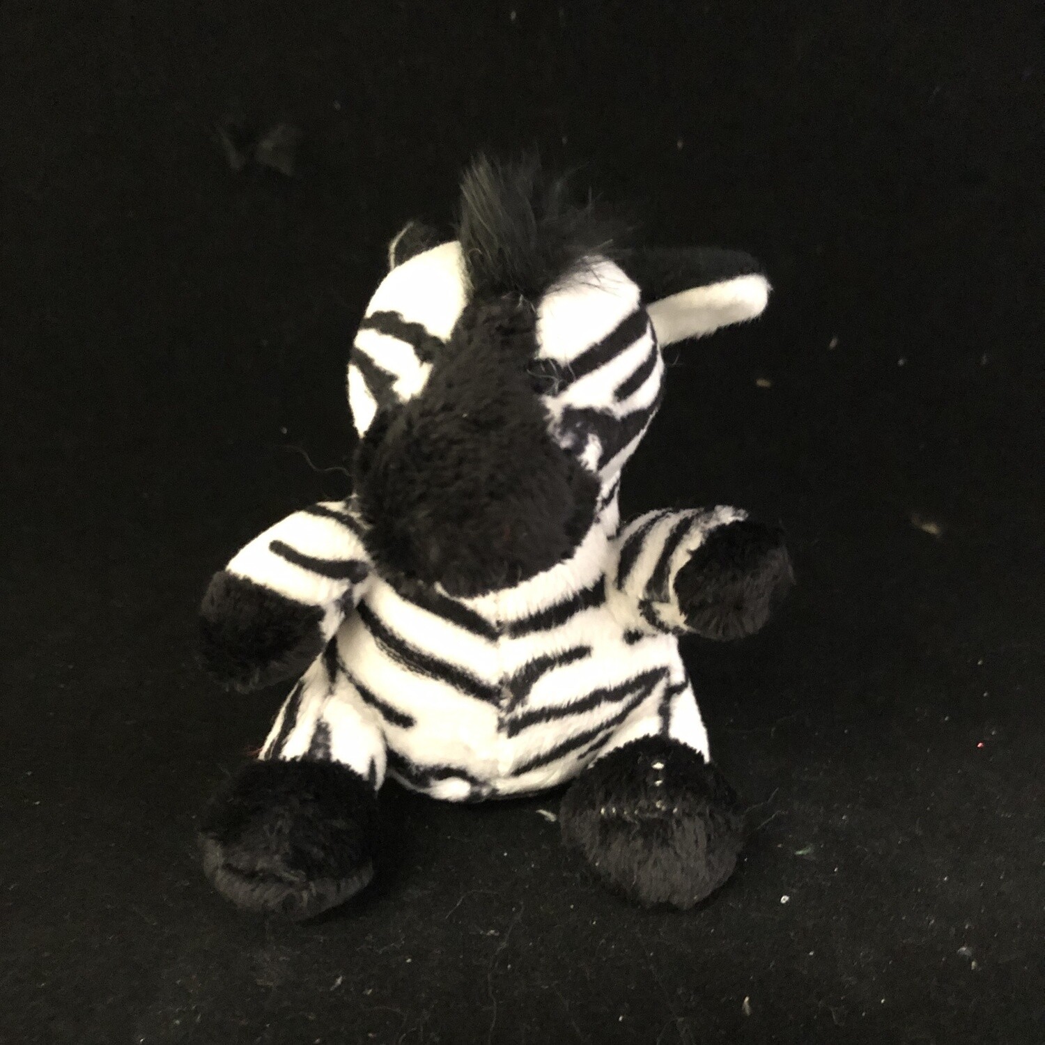 4" Zebra
