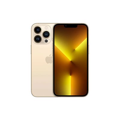 Apple iPhone 13 Pro Max 1TB Guld A+ skick