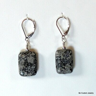 Crazy Lace Agate Rectangles Earrings
