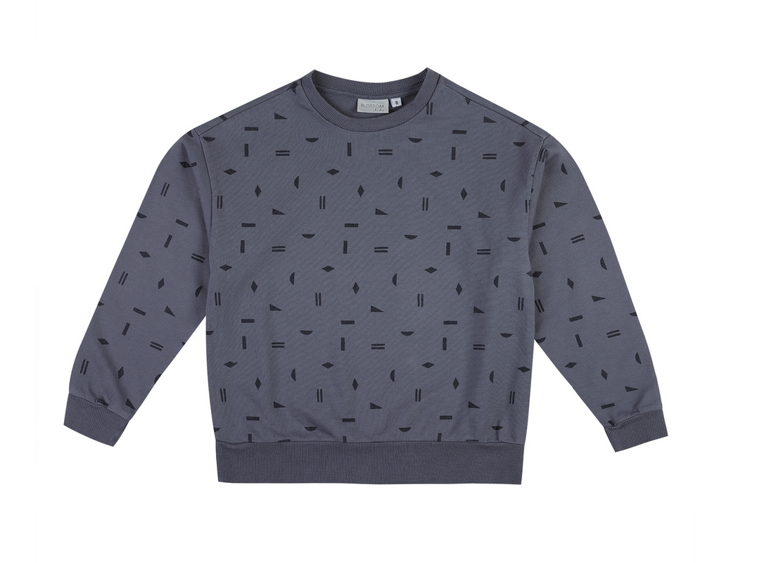 Petit Geo Sweater - Blossom Kids . blaugrau