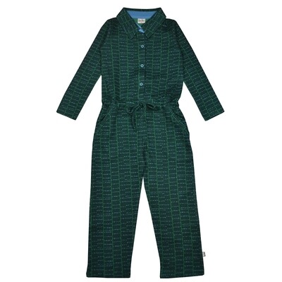 Grüner Jumpsuit mit Streifenprint