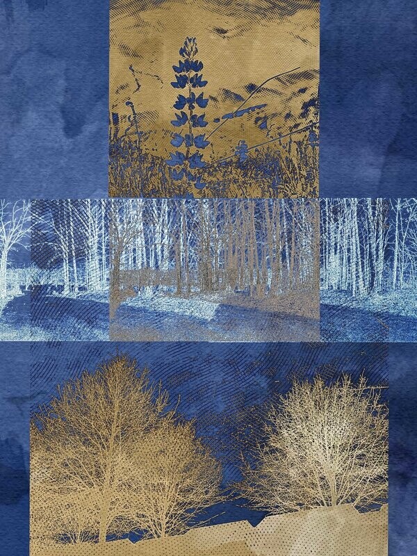Tree Blues